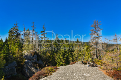 Weissmainsfelsen Felsblöcke im Fichtelgebirge Ochsenkopf