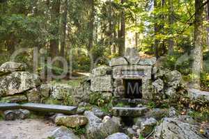 Quelle im Wald Weißmainquelle im Fichtelgebirge