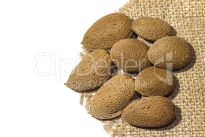 Isolated Almonds on the linen fabric