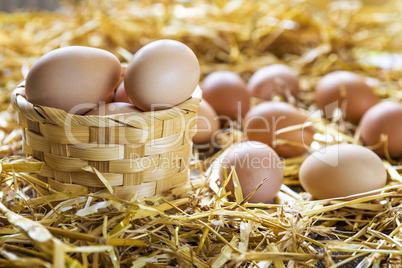 Fresh eggs in nest on straw at farm