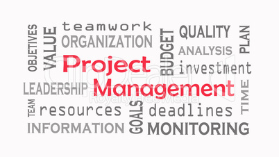 Project Management word cloud concept on white background.