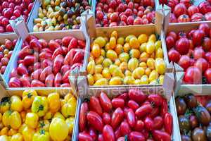 Organic fresh tomatoes