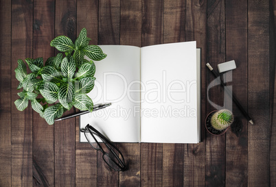 Book, stationery, plants