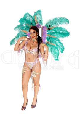 Beautiful woman in a colorful carnival outfit