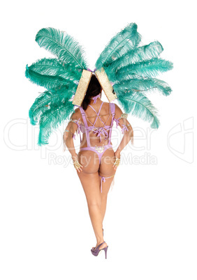 Beautiful woman in a carnival outfit from the back