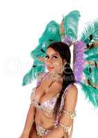 Beautiful woman in carnival costume in close up