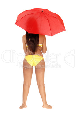 Woman standing in bikini from the back