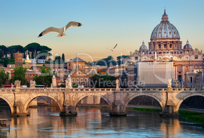 Birds and Vatican