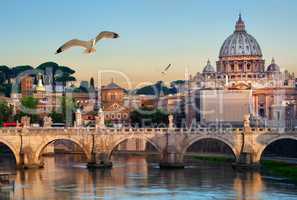 Birds and Vatican