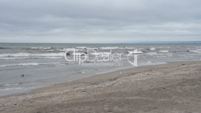 Waves crashing on beach on windy day.