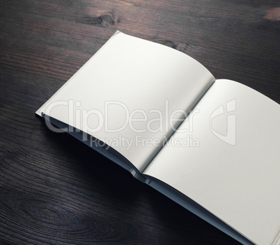 Blank opened book