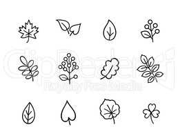 Autumn icon set. Fall leaves and berries. Nature symbol line art
