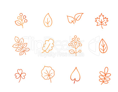 Autumn icon set. Fall leaves and berries. Nature symbol line art