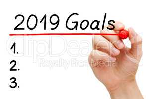 Blank Year 2019 Goals List Concept