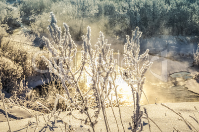 Winter sunny landscape with river and forest