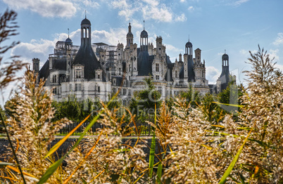 Chateau de Chambord from grass