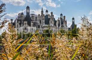 Chateau de Chambord from grass