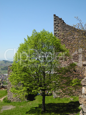 Ruine Schauenburg bei Oberkirch