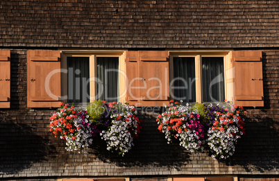 Blumenfenster