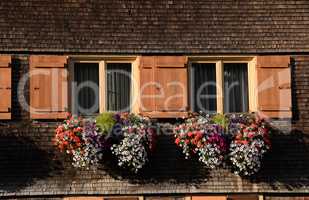 Blumenfenster