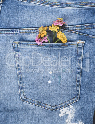 bouquet of flowers in the back pocket of blue jeans