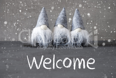 Three Gray Gnomes, Cement, Snowflakes, Text Welcome