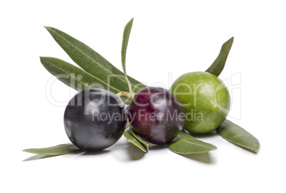 Isolated colorful olives