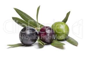Isolated colorful olives