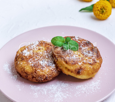 round roasted cottage cheese  in a pink ceramic plate