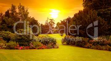 Summer park with beautiful flowerbeds and sun rise. Wide photo.