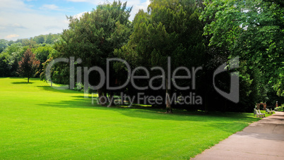 Summer park, green meadow and blue sky. Wide photo.