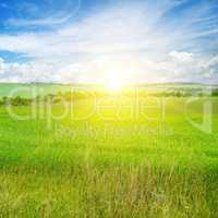 Green field and blue sky with light clouds. Above the horizon is