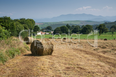 Camino Primitivo, Asturias, Spain