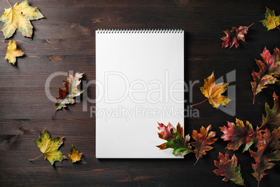 Notepad and leaves