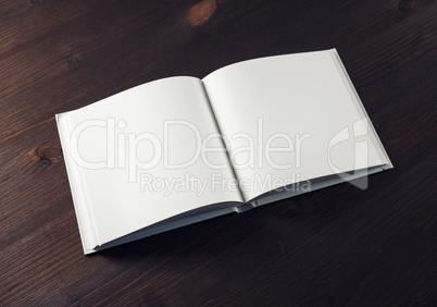 Blank book mockup