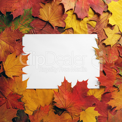 Paper, autumn leaves