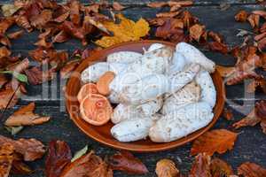 Edible wild mushrooms in a clay plate, side view