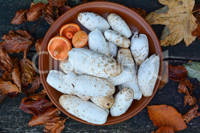 Edible wild mushrooms in a clay plate, top view