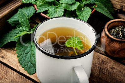 Green melissa herbal tea