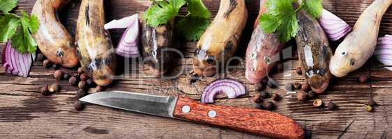 Raw fish on cutting board