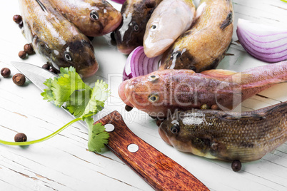 Raw fish on cutting board
