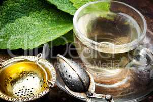 Cups of healthy herbal tea