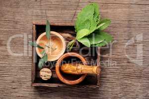 Natural medicine, herbs
