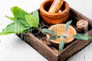 Natural medicine, herbs