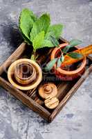 Natural medicine, herbs
