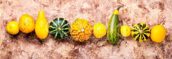 Assortment of decorative pumpkins
