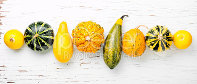 Assortment of decorative pumpkins