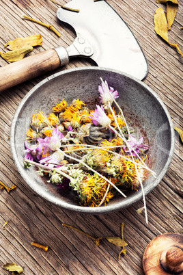Medicinal, healing herbs