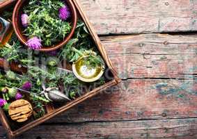 Healing herbs thistle
