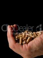 Hand holding heap of wood pellets